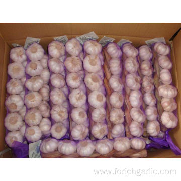 Different Weights Of Every Garlic Braids High Quality